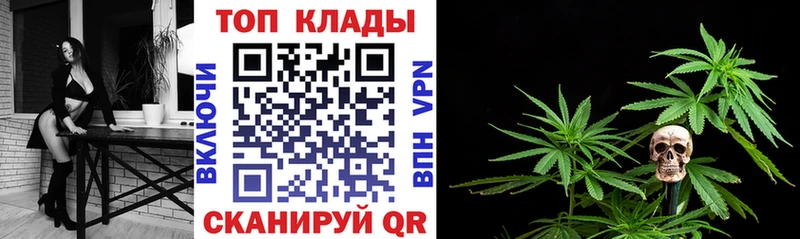 Купить закладку Метамфетамин  Марихуана  Мефедрон  ГАШ  Alpha-PVP  АМФ  Павловск