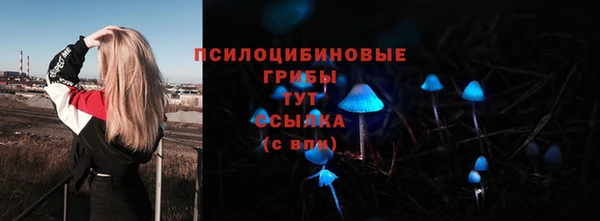 МДПВ Заволжье