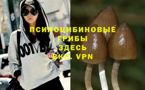 синтетический гашиш Заволжск