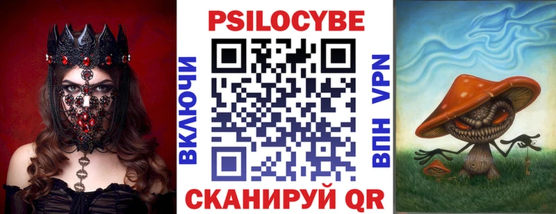 Купить  Павловск  Псилоцибиновые грибы Psilocybe 